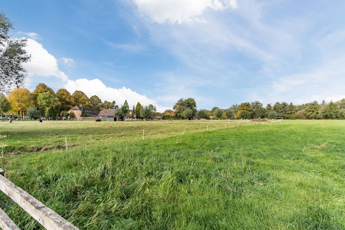 Wisse 14 Photo Blur 37