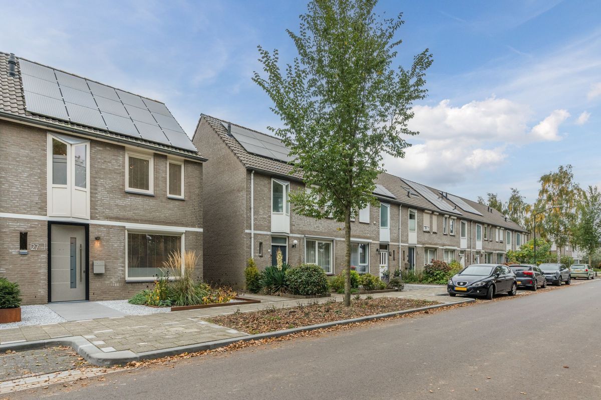 Aragorn 27 Photo Blur 45