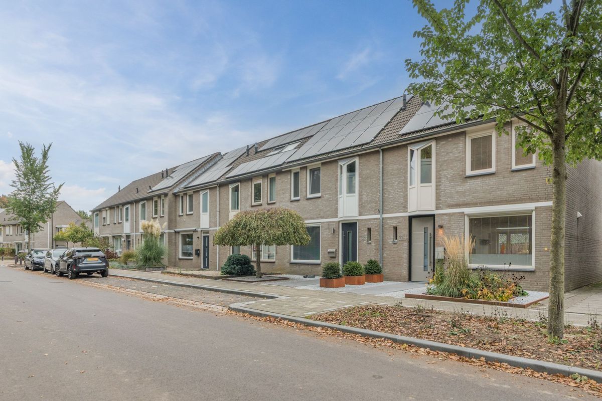 Aragorn 27 Photo Blur 44