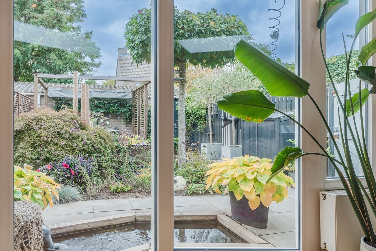 Aragorn 27 Photo Blur 8