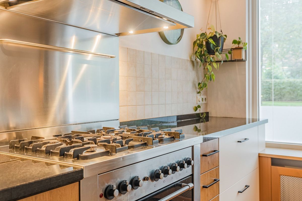 Aragorn 27 Photo Blur 20