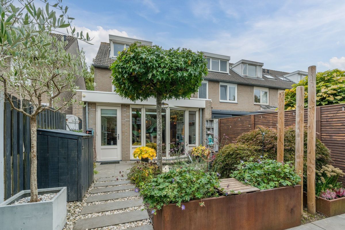 Aragorn 27 Photo Blur 42