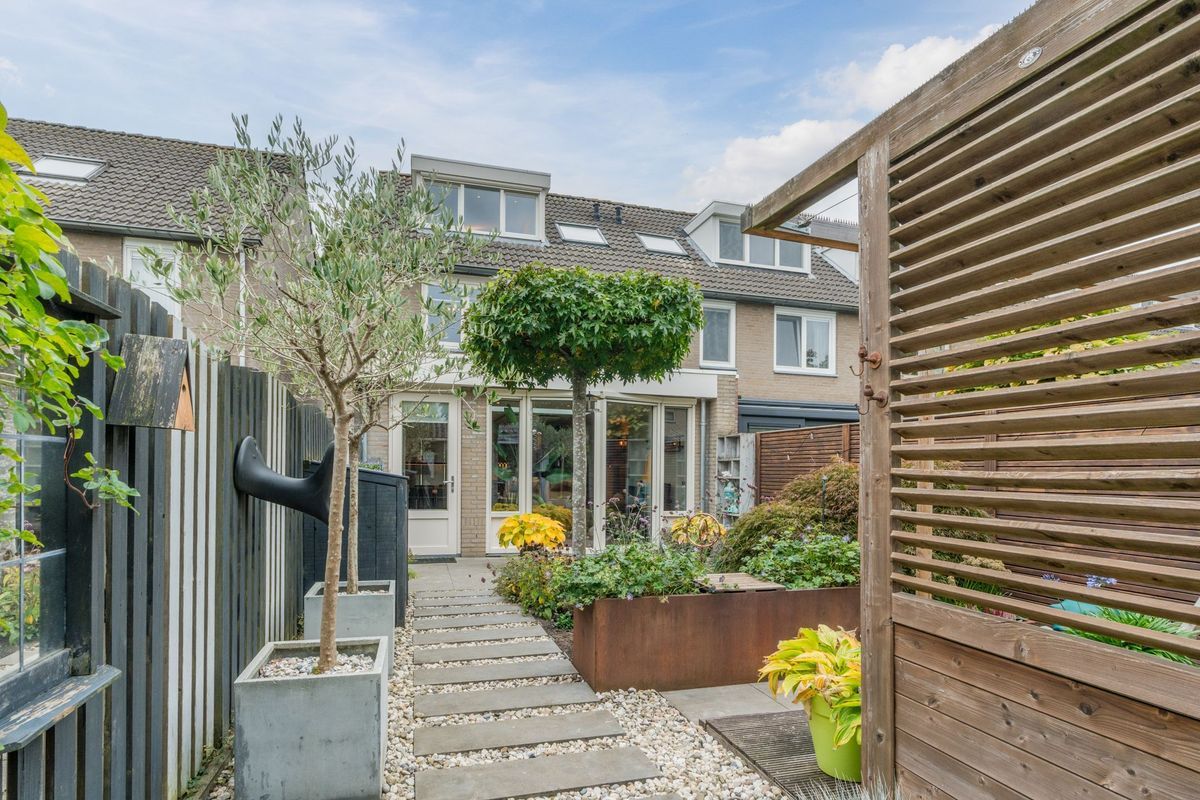 Aragorn 27 Photo Blur 43