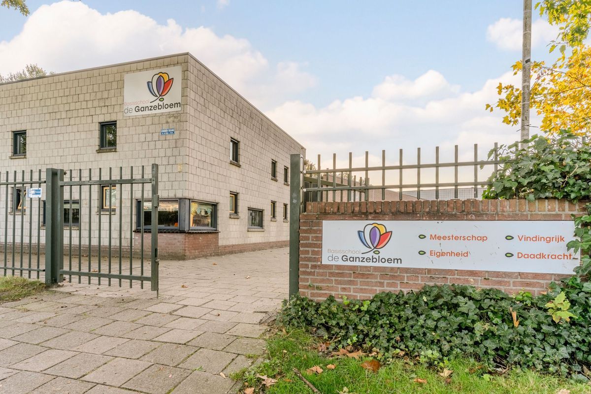 Aragorn 27 Photo Blur 47