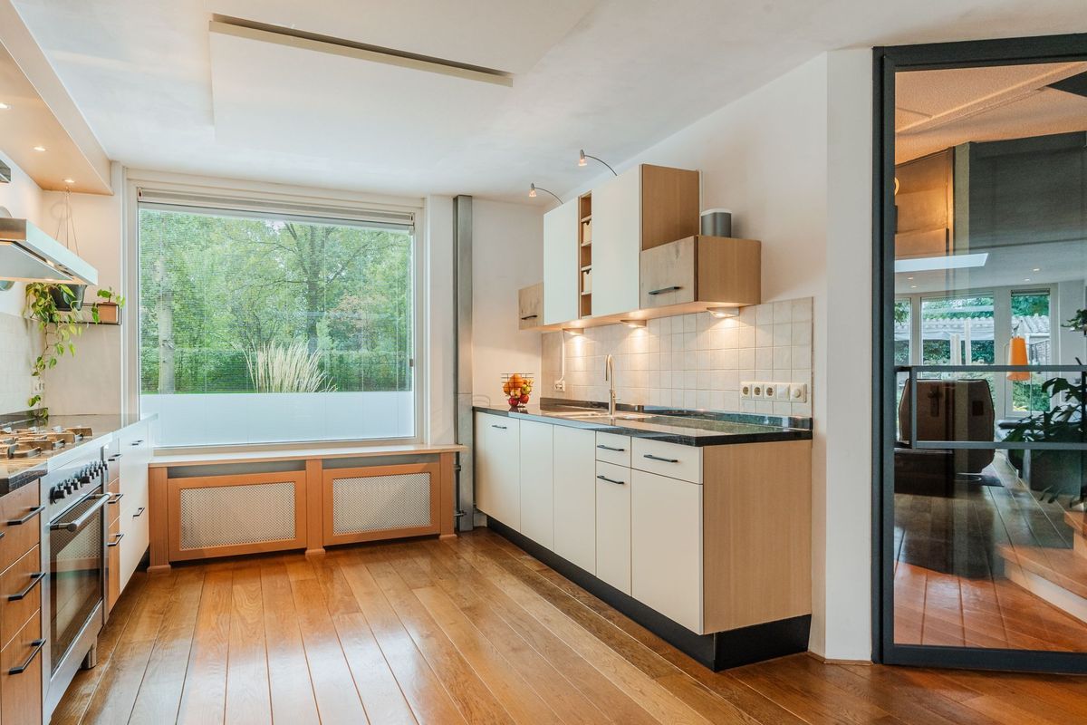 Aragorn 27 Photo Blur 19