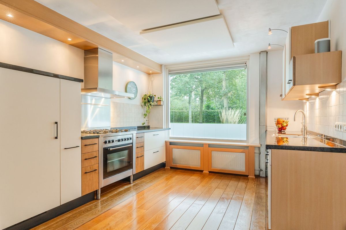 Aragorn 27 Photo Blur 3