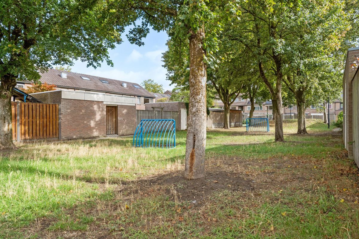 Gouddonk 5 Photo Blur 35