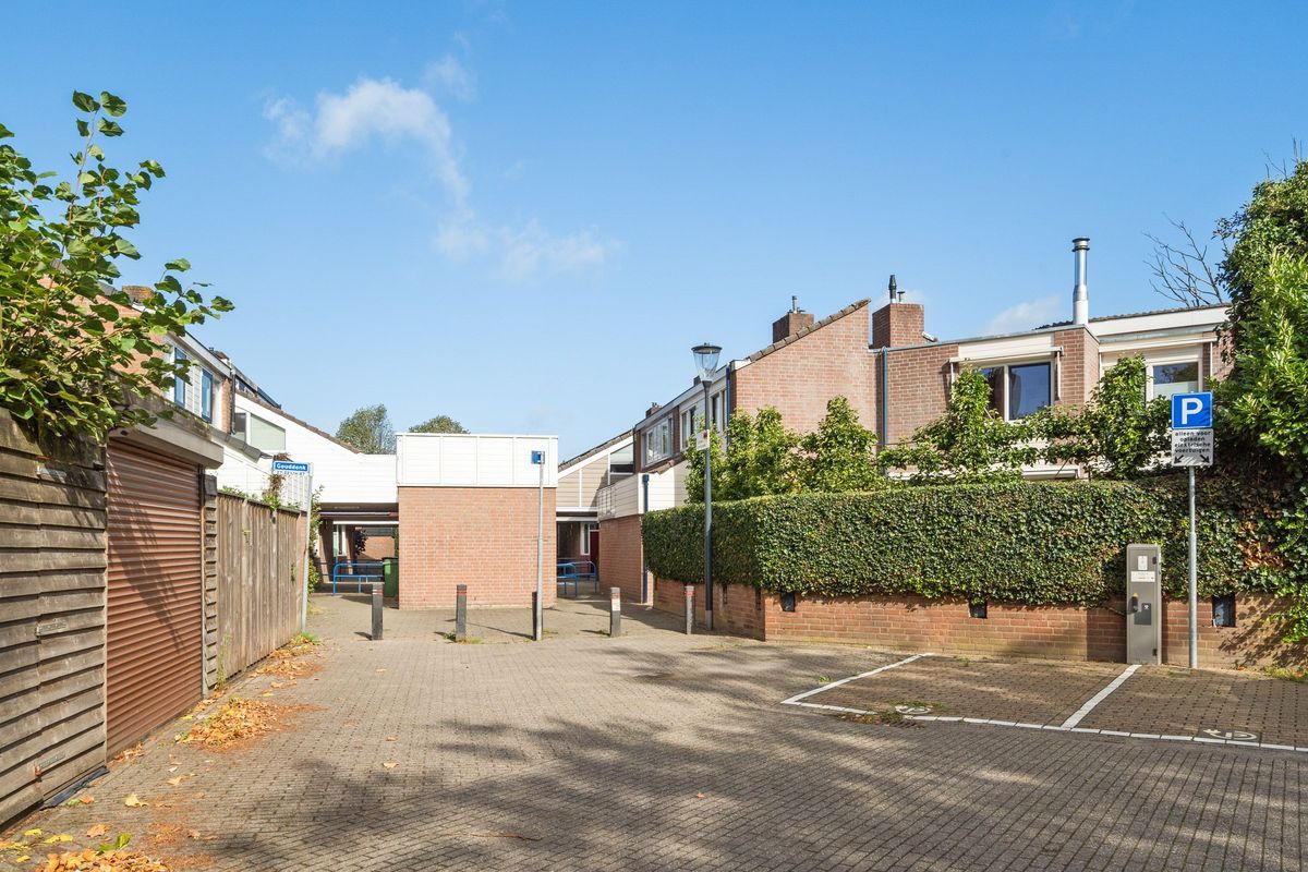 Gouddonk 5 Photo Blur 38