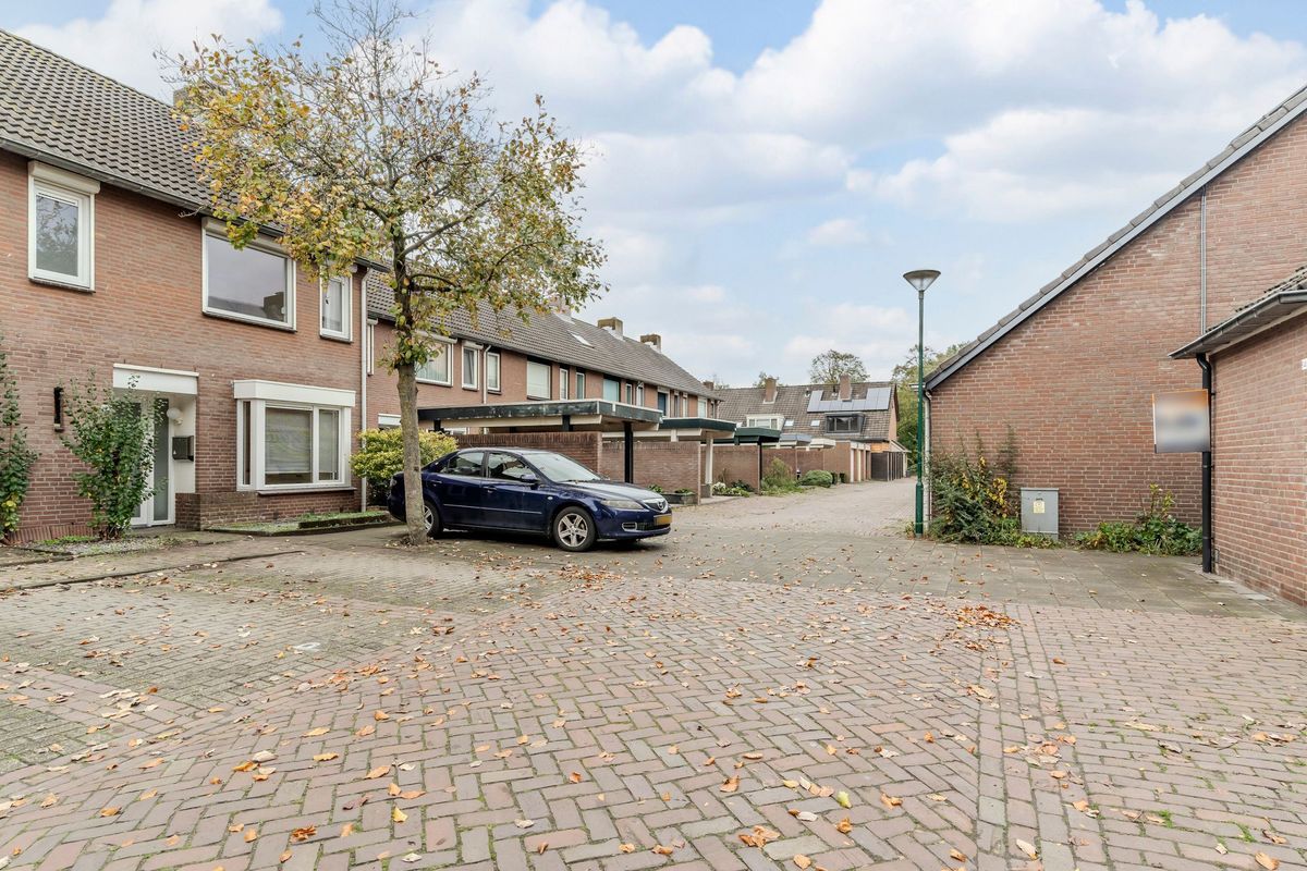 Leibeemd 130 Photo Blur 31