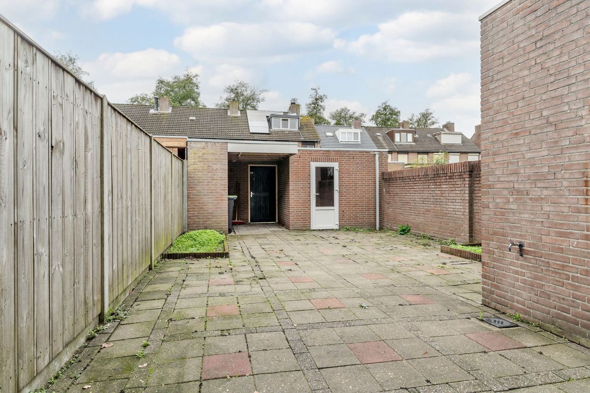 Leibeemd 130 Photo Blur 16