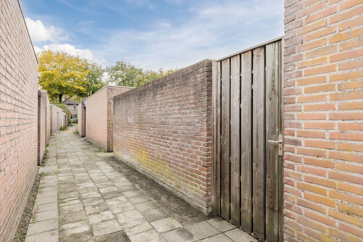 Leibeemd 54 Photo Blur 29