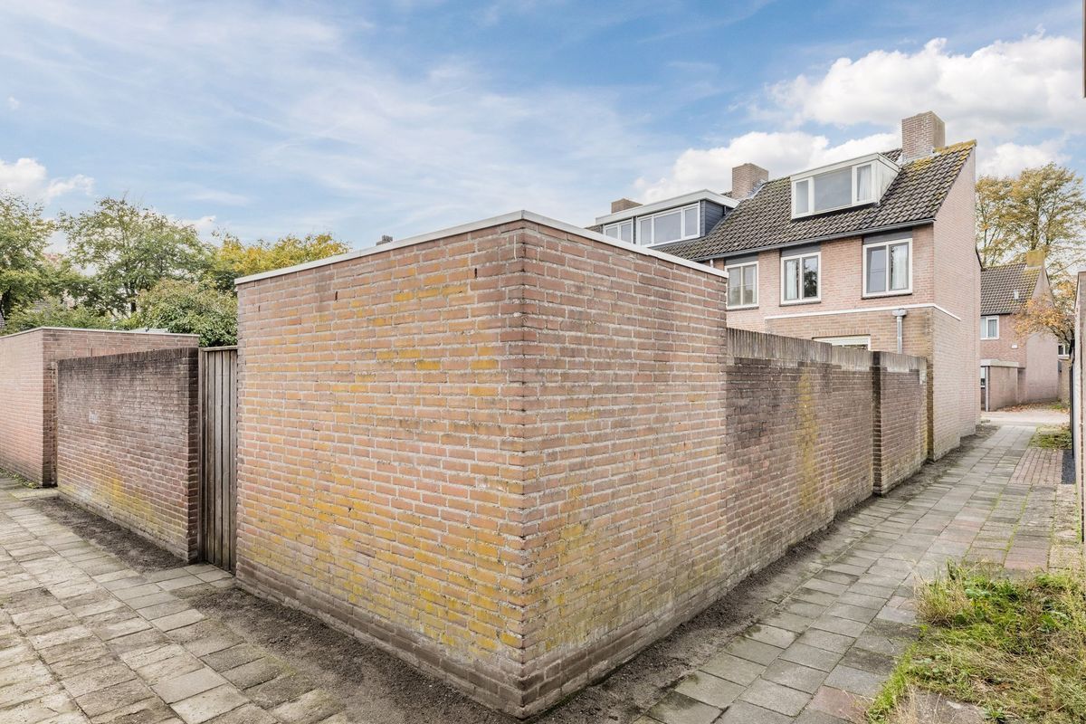 Leibeemd 54 Photo Blur 30