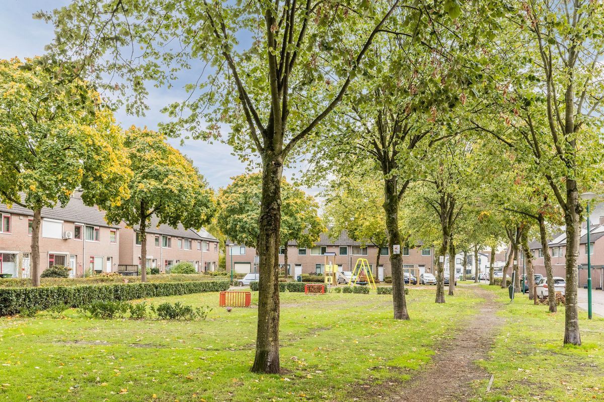 Leibeemd 54 Photo Blur 32