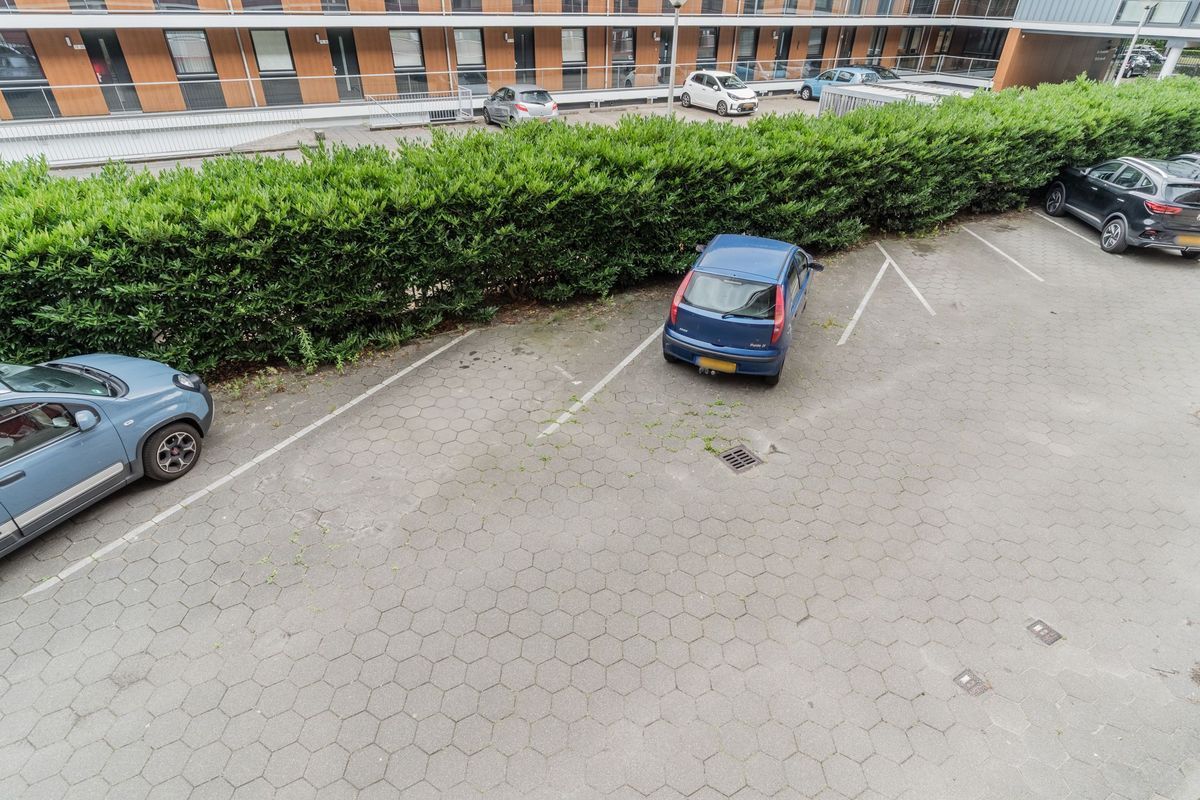 Postelse Hoeflaan 77 Photo Blur 26