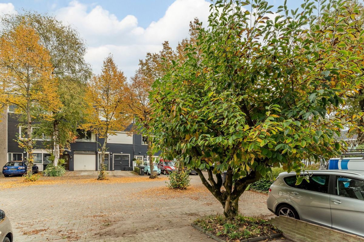 Adelaartlaan 73 Photo Blur 49