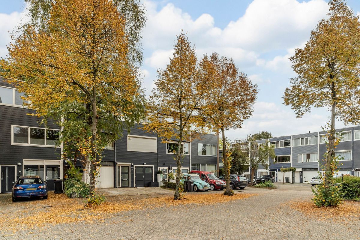 Adelaartlaan 73 Photo Blur 50