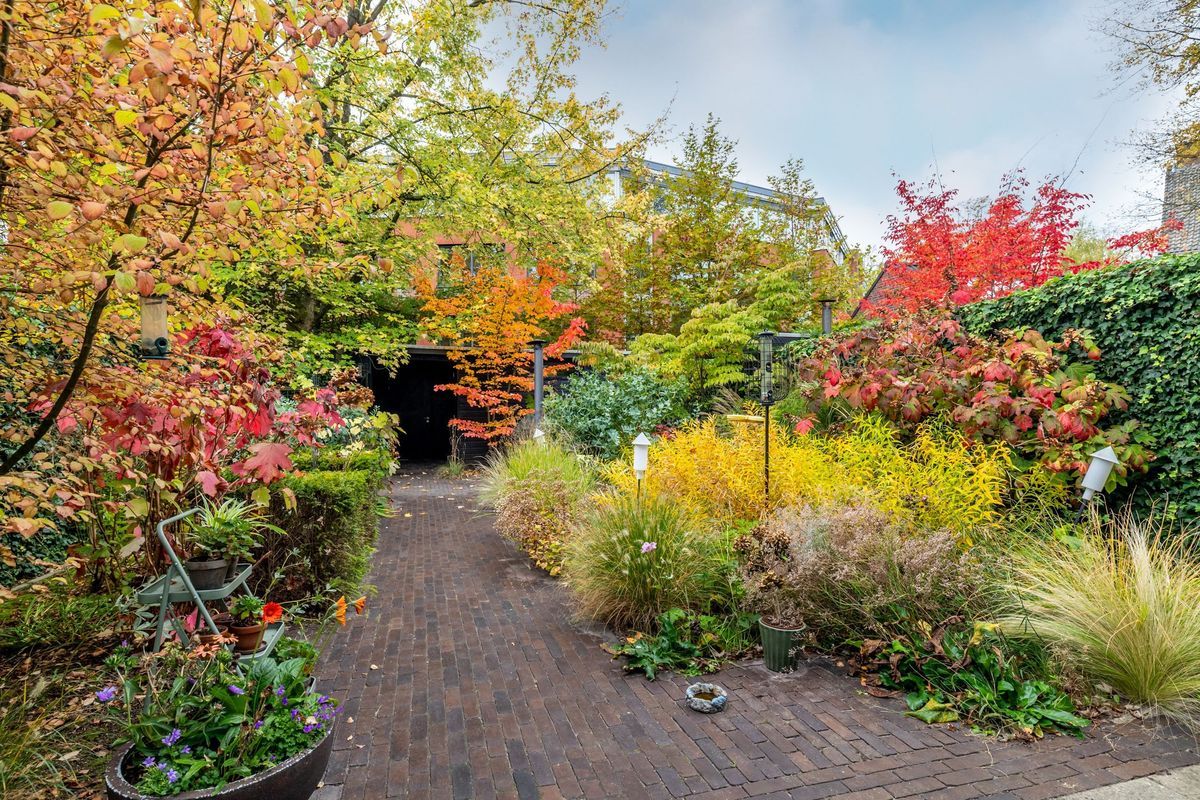 Overakkerstraat 204 Photo Blur 42