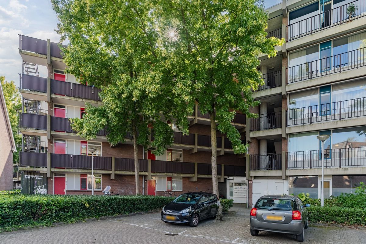 Pascalerf 46 Photo Blur 16