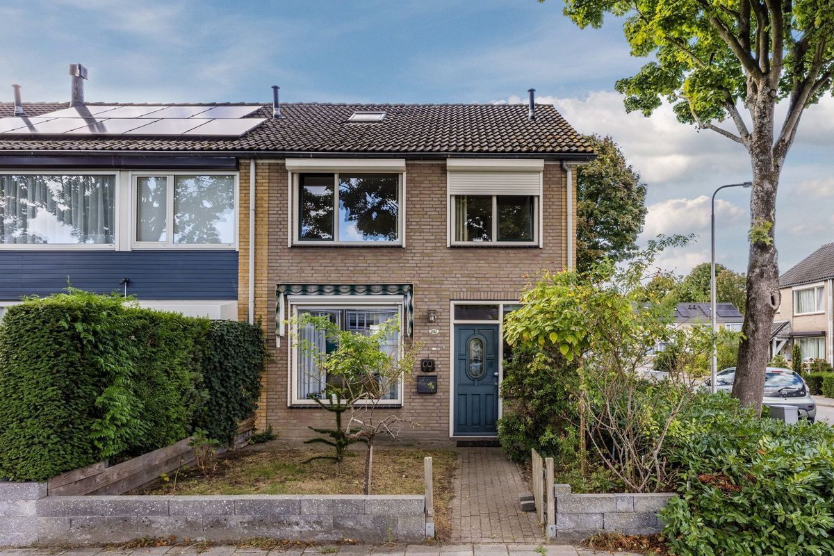 Bellinistraat 247 Photo Blur 28