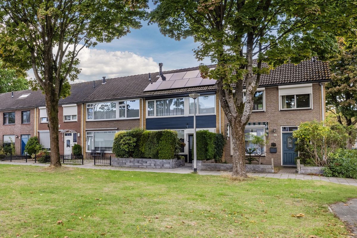 Bellinistraat 247 Photo Blur 29