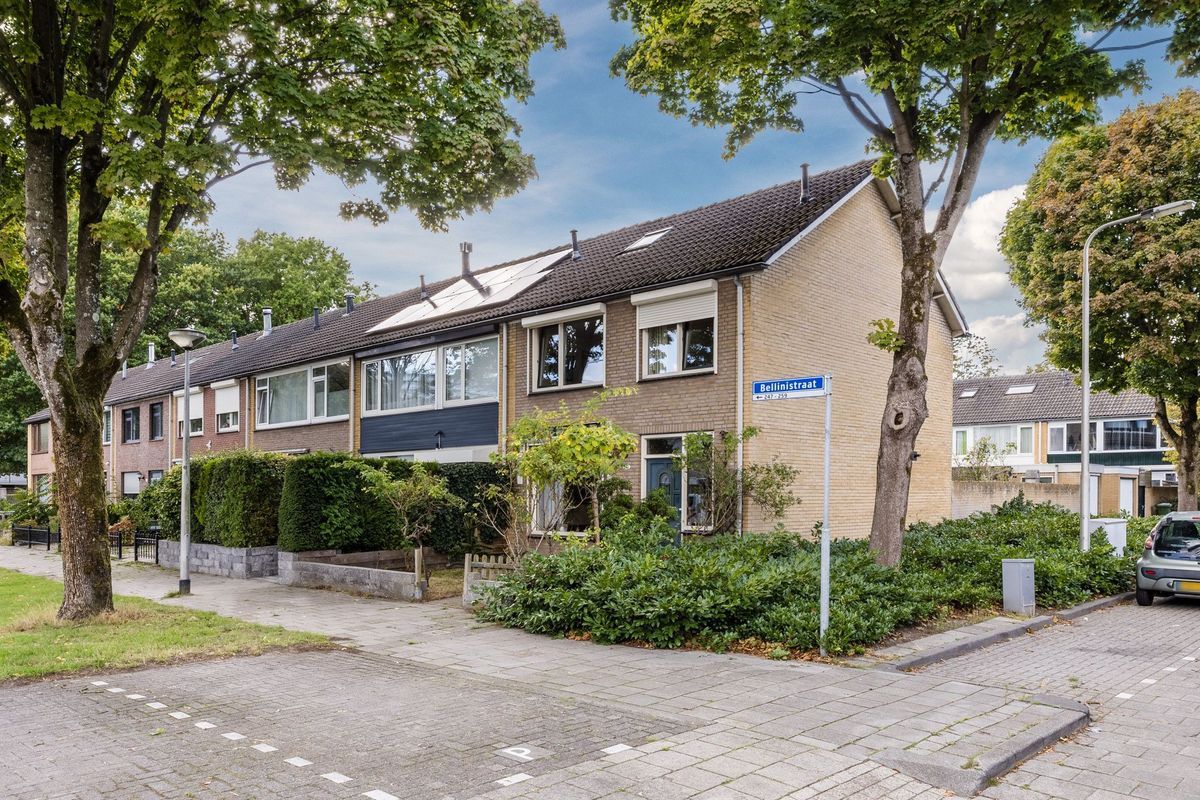 Bellinistraat 247 Photo Blur 27