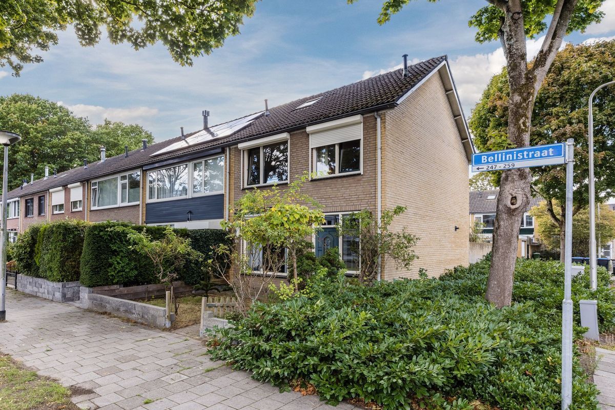 Bellinistraat 247 Photo Blur 0