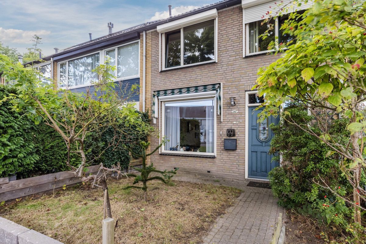 Bellinistraat 247 Photo Blur 26