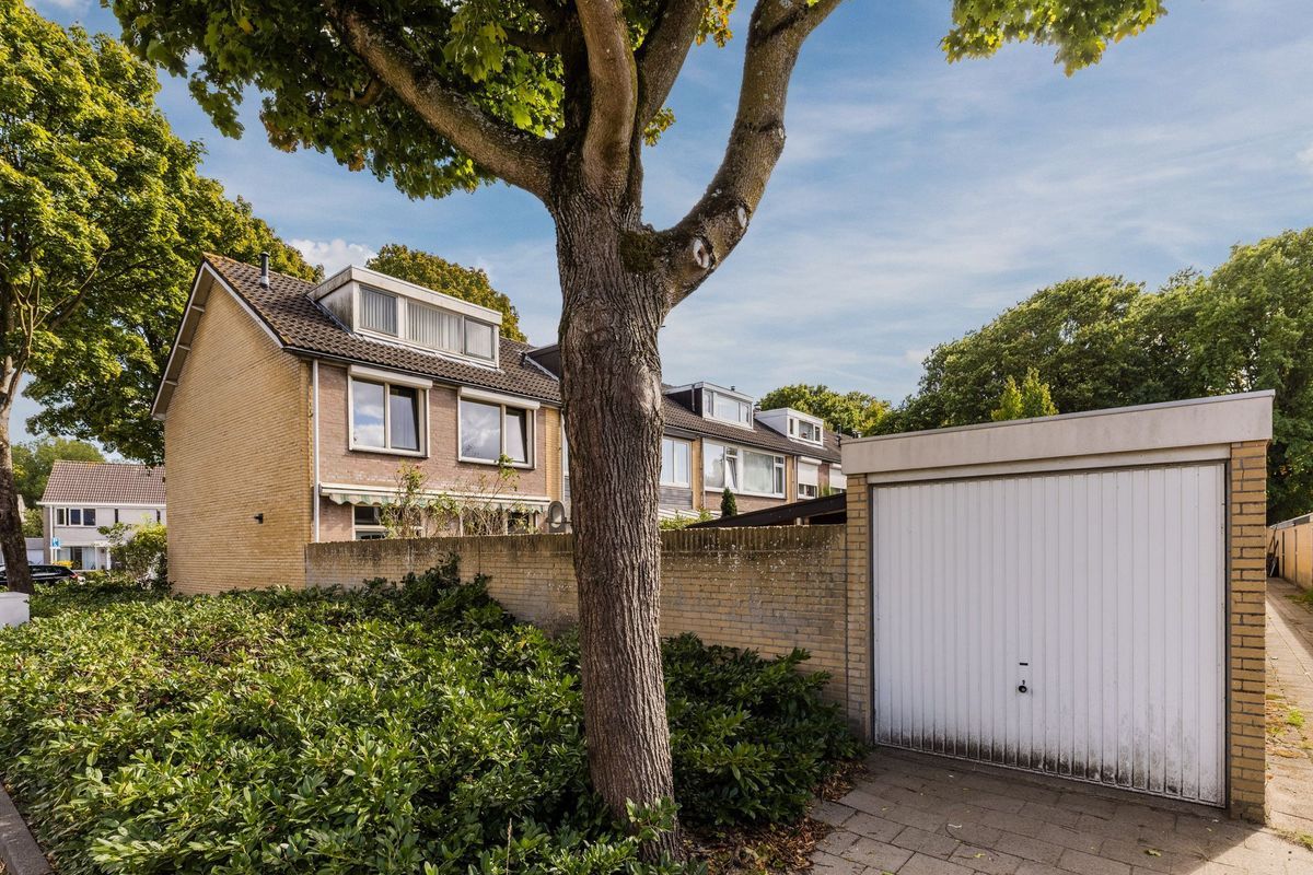 Bellinistraat 247 Photo Blur 25