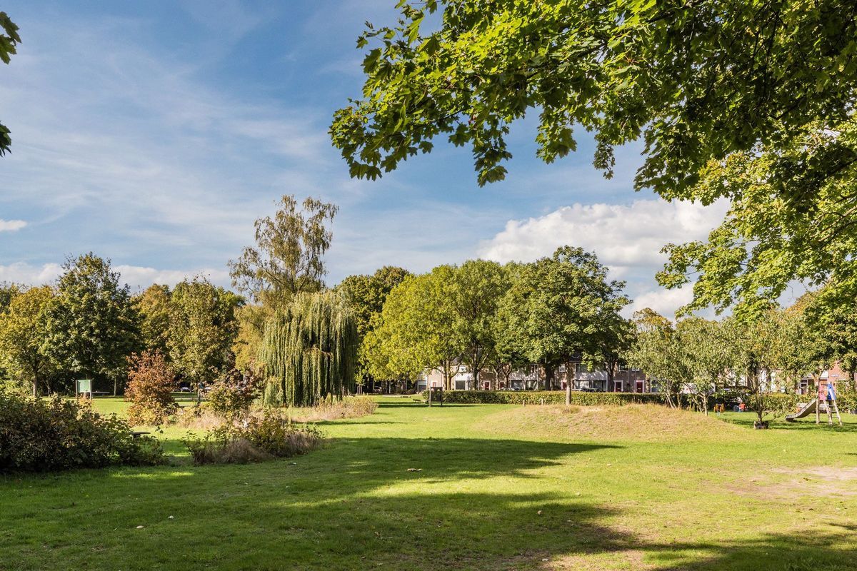 Bellinistraat 247 Photo Blur 30