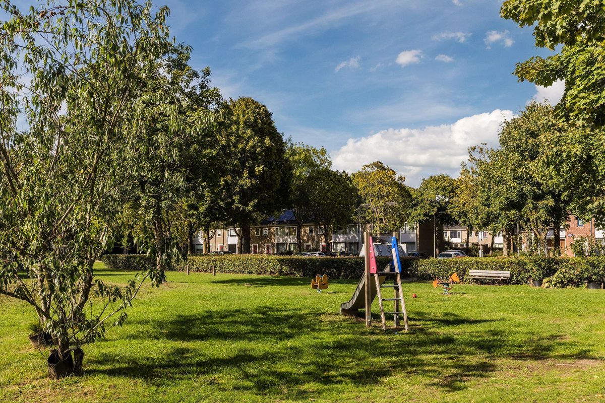 Bellinistraat 247 Photo Blur 31