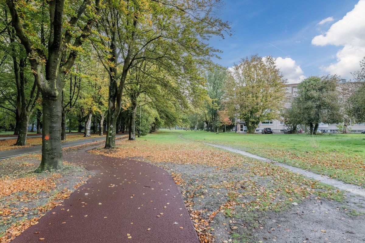 Europalaan 609 Photo Blur 22