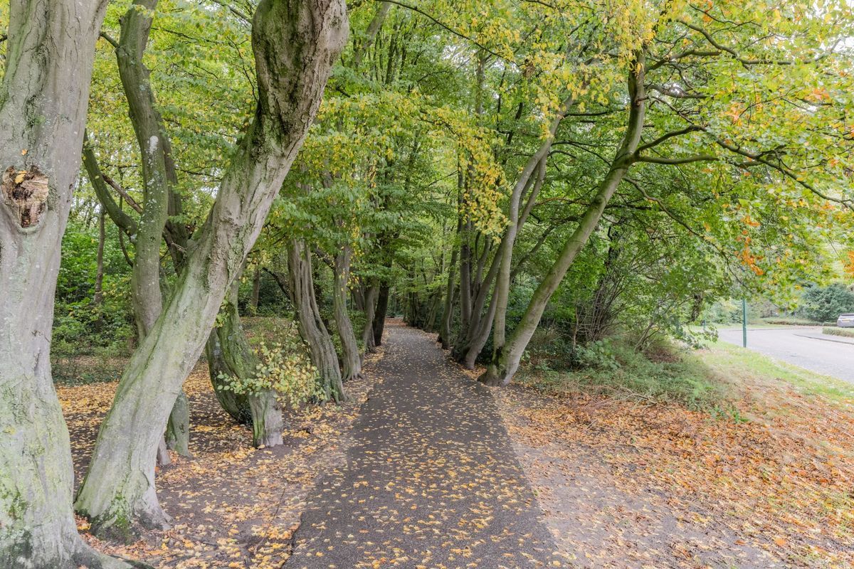 Oude Baan 76 Photo Blur 29