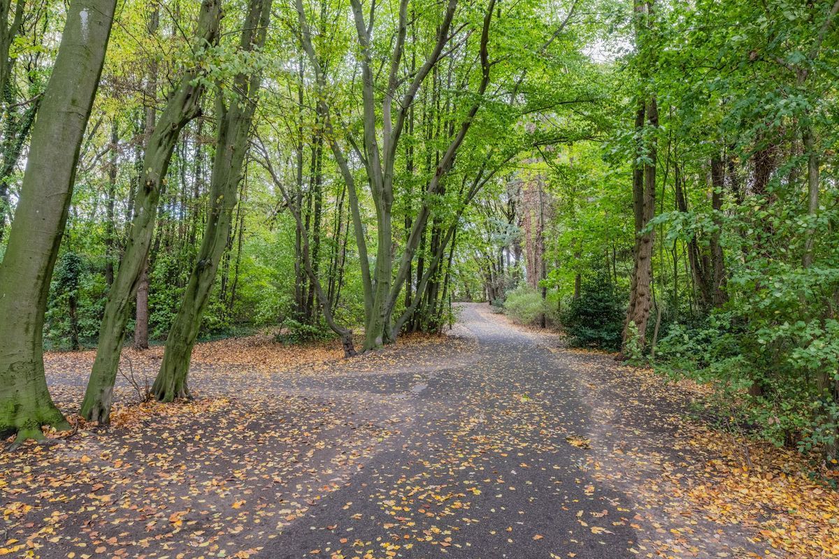 Oude Baan 76 Photo Blur 30