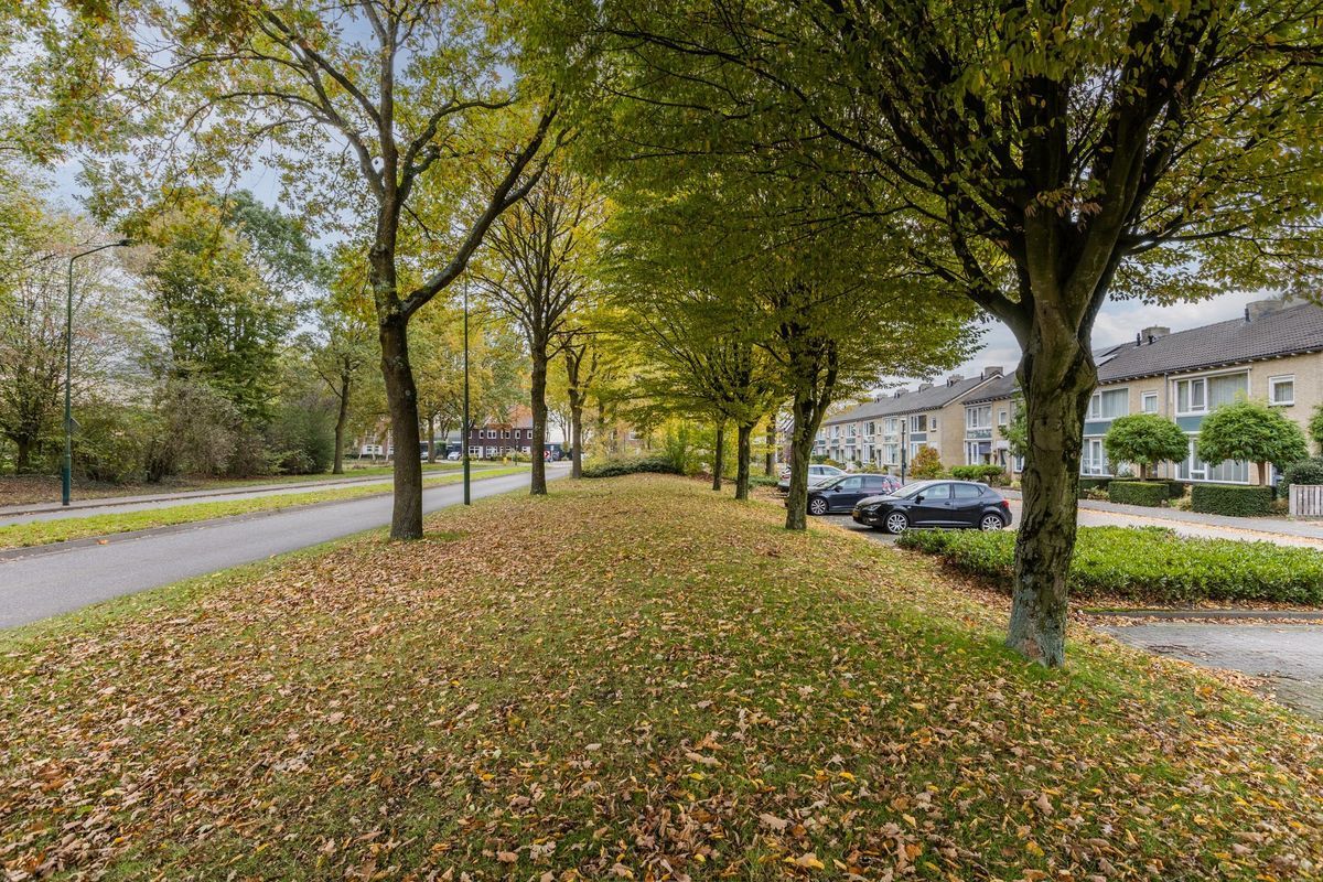 Lucas van Leijdenstraat 6 Photo Blur 33