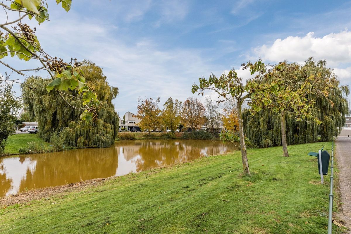 Simon Vestdijkstraat 79 Photo Blur 32