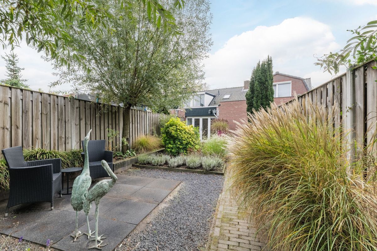 Zandheuvel 107 Photo Blur 22