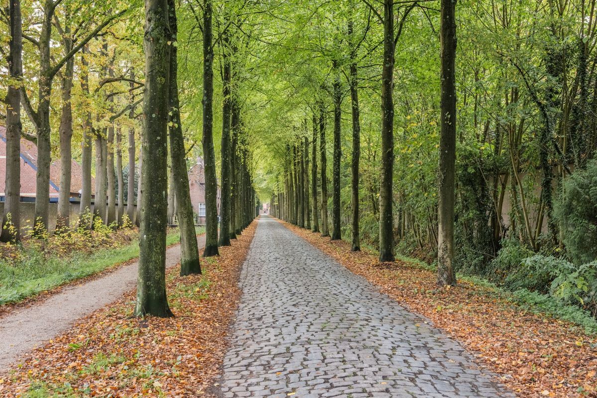 Zandheuvel 107 Photo Blur 39