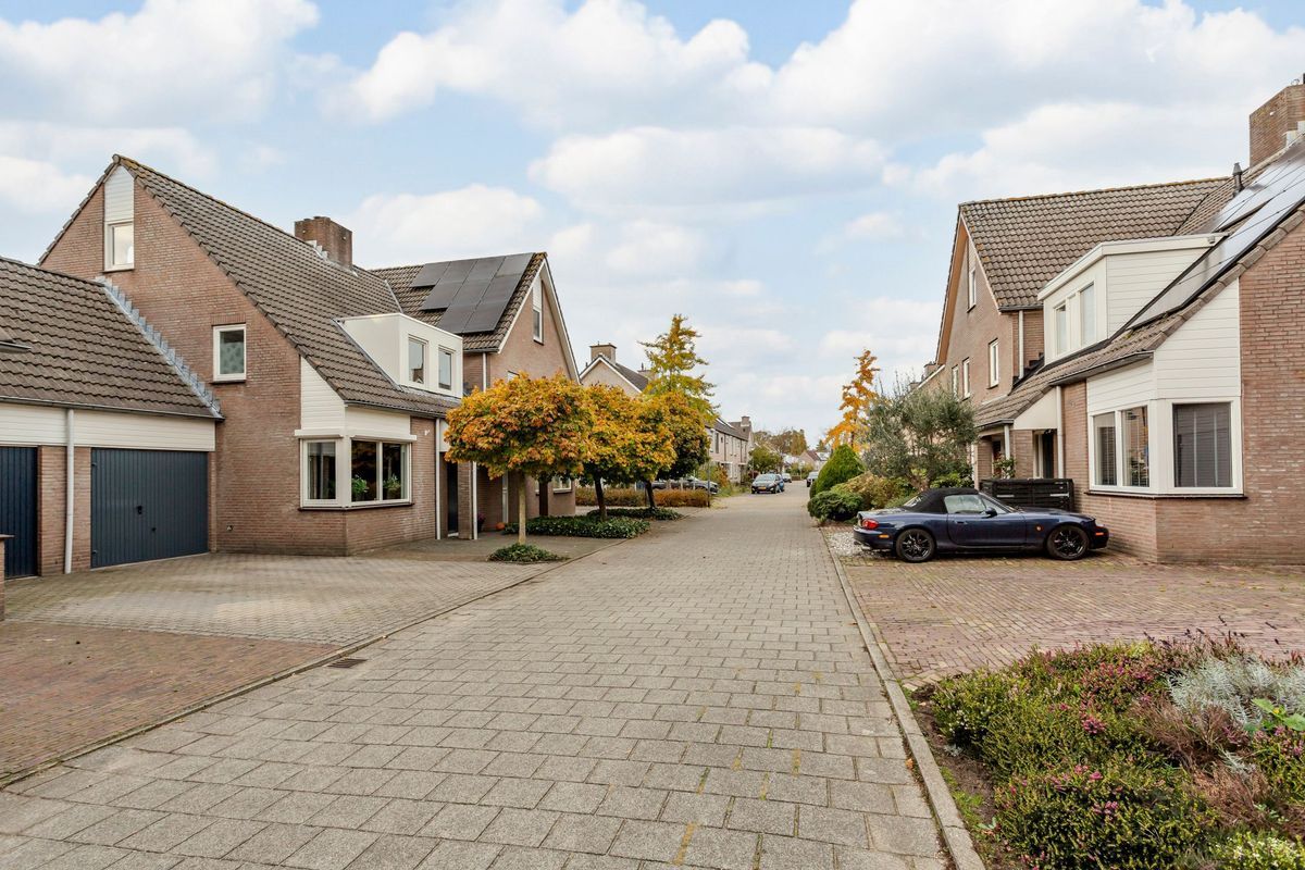 Hooiland 18 Photo Blur 4