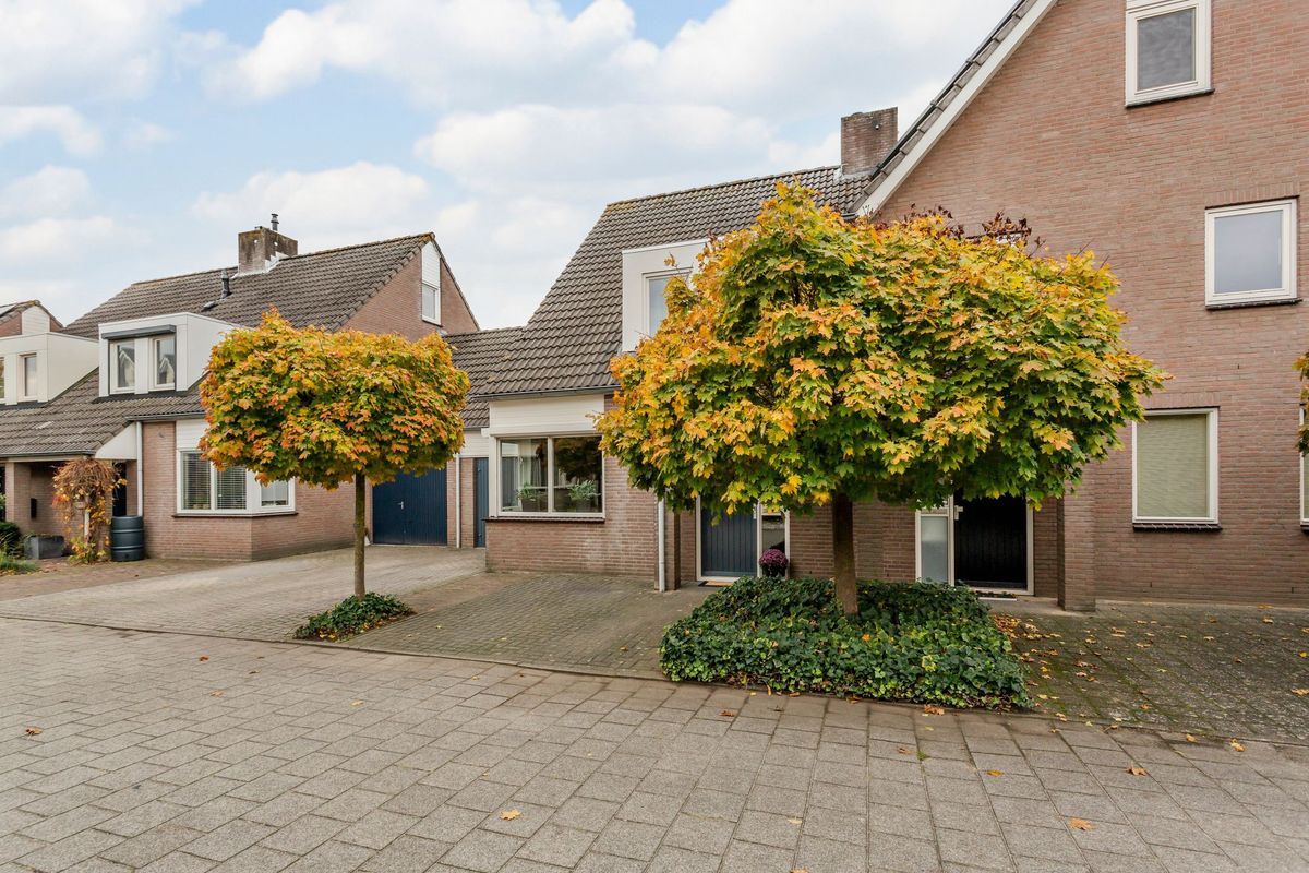 Hooiland 18 Photo Blur 52