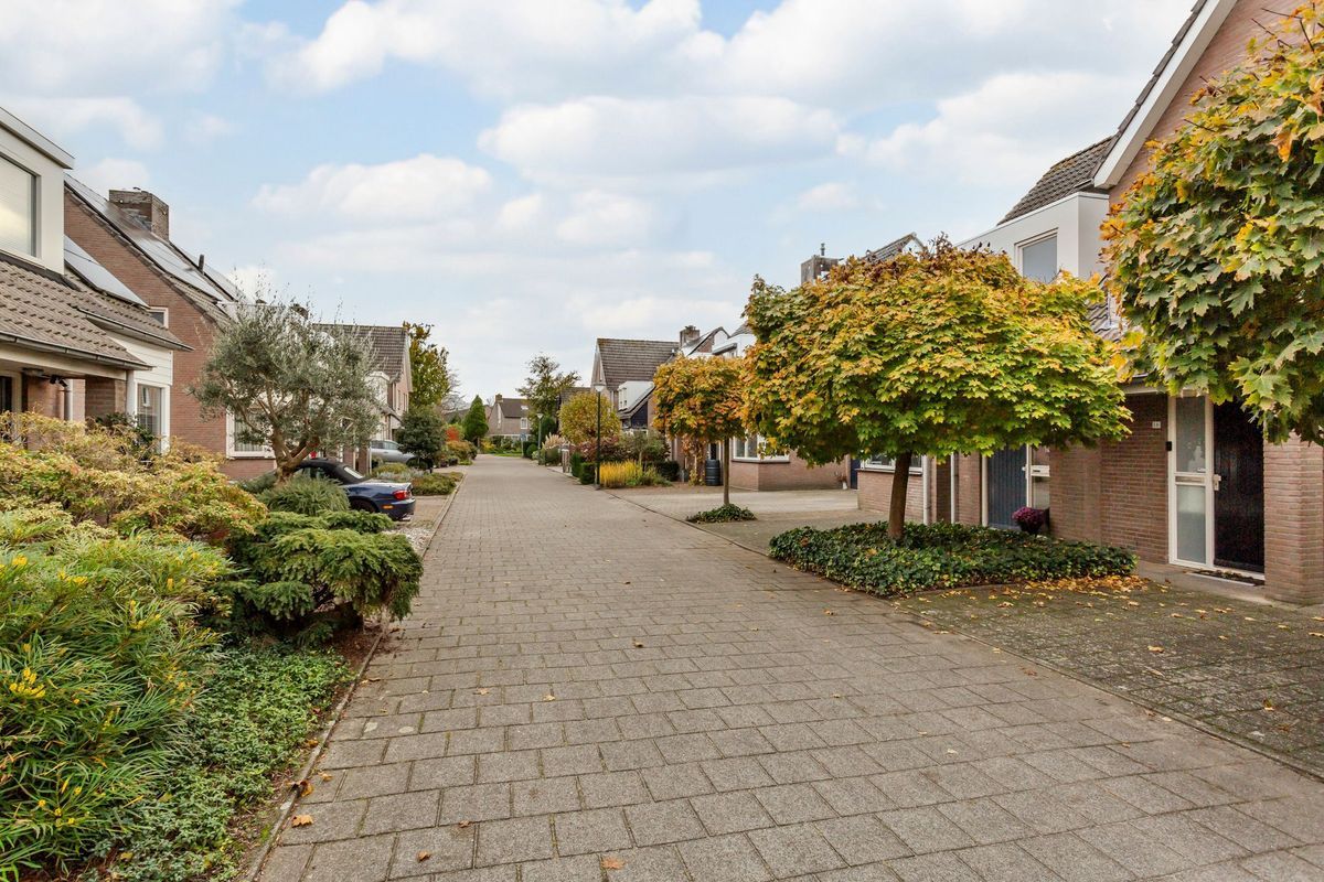 Hooiland 18 Photo Blur 53