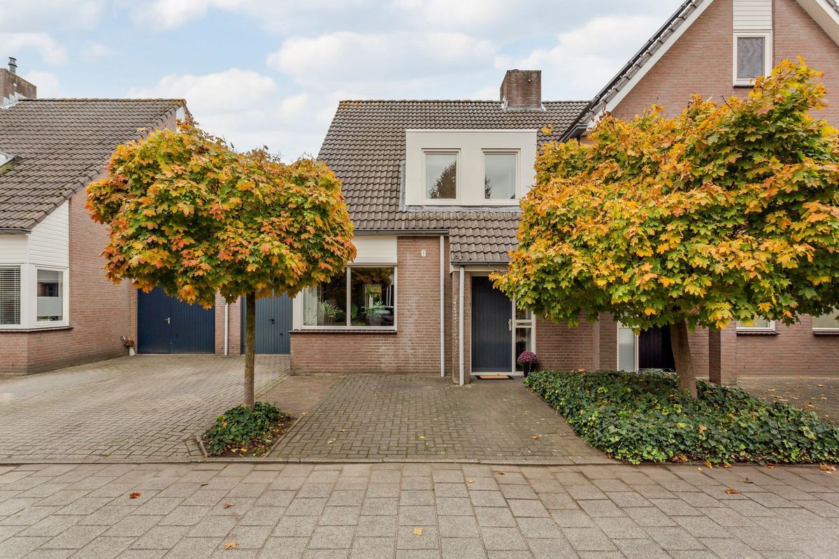 Hooiland 18 Photo Blur 5