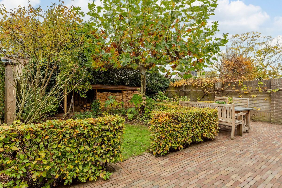 Hooiland 18 Photo Blur 42