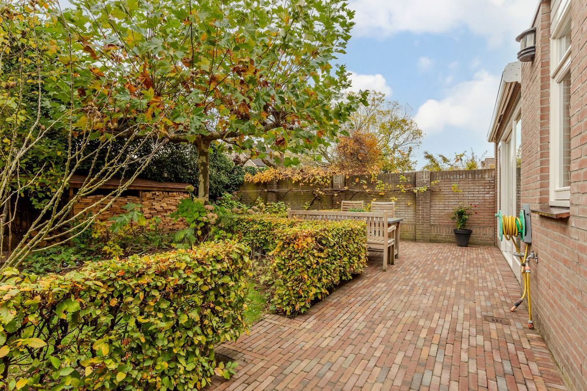 Hooiland 18 Photo Blur 41