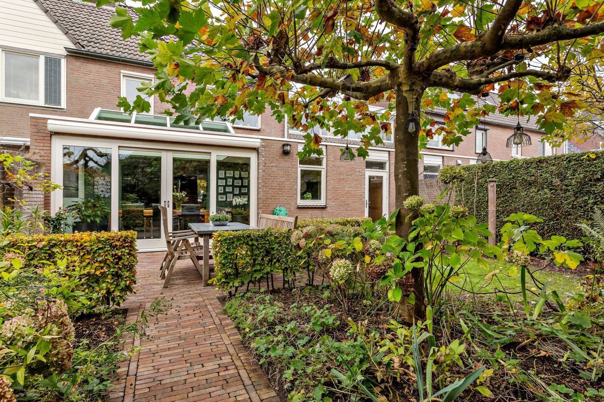 Hooiland 18 Photo Blur 45