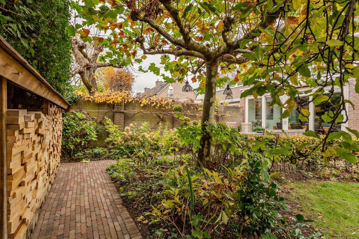 Hooiland 18 Photo Blur 47