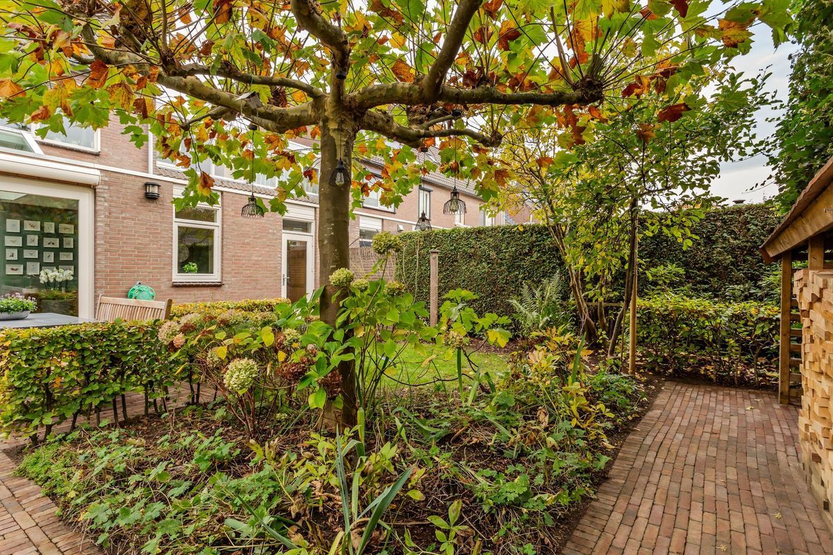 Hooiland 18 Photo Blur 46