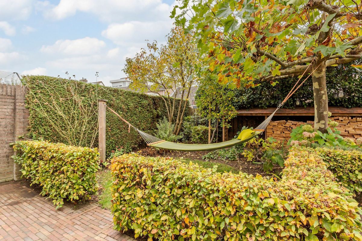 Hooiland 18 Photo Blur 51