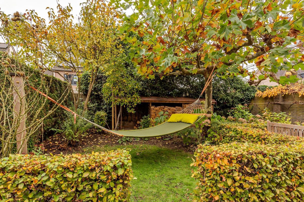 Hooiland 18 Photo Blur 50