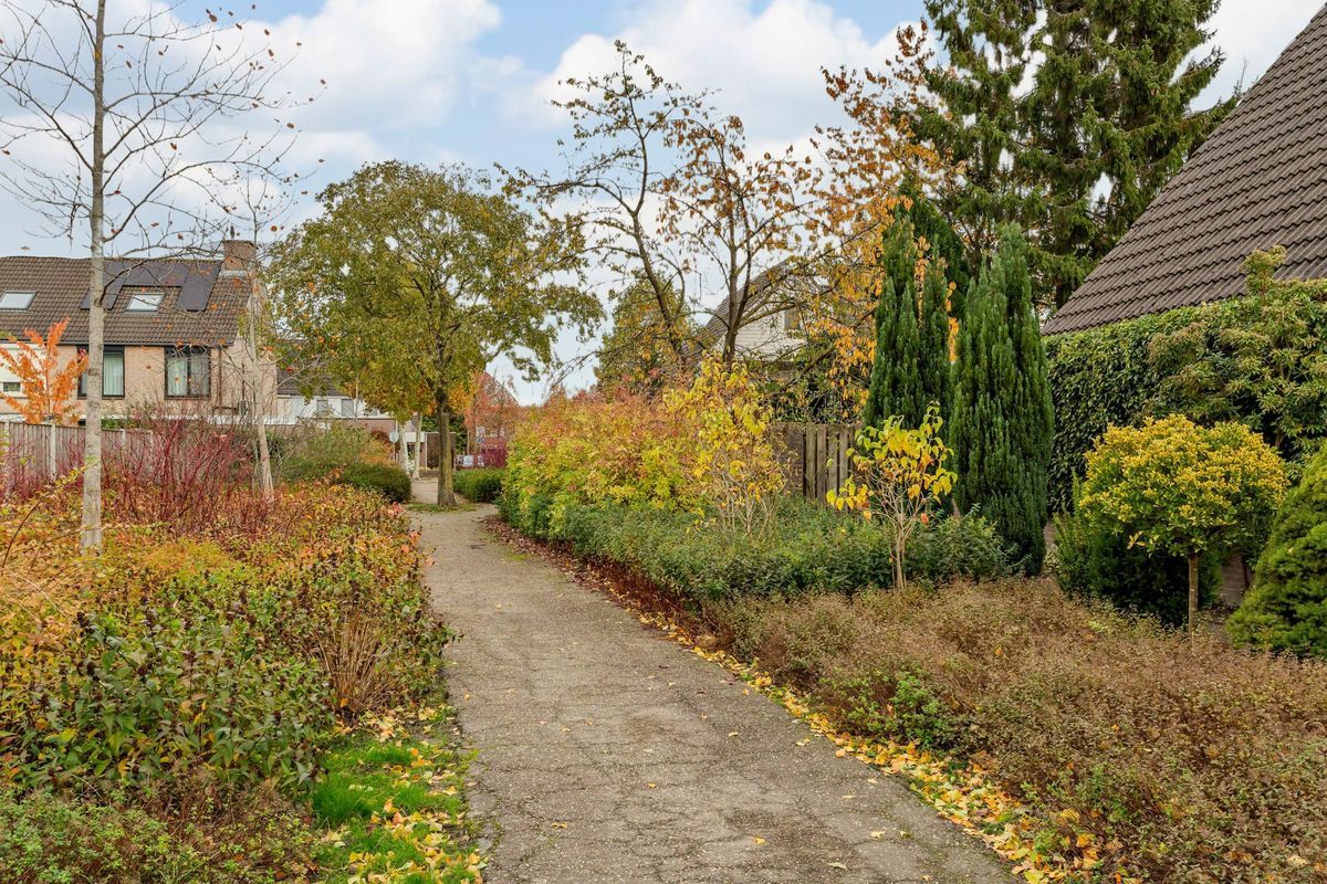 Hooiland 18 Photo Blur 54