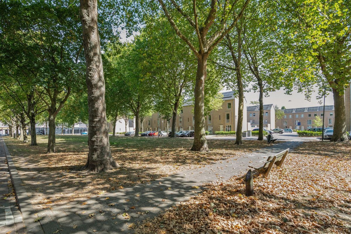 Hudsonstraat 31 Photo Blur 47